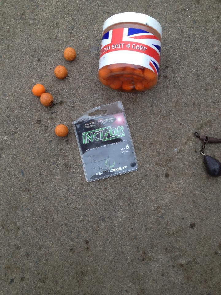 GARDNER - 5990933712399596561741972030984n.jpg